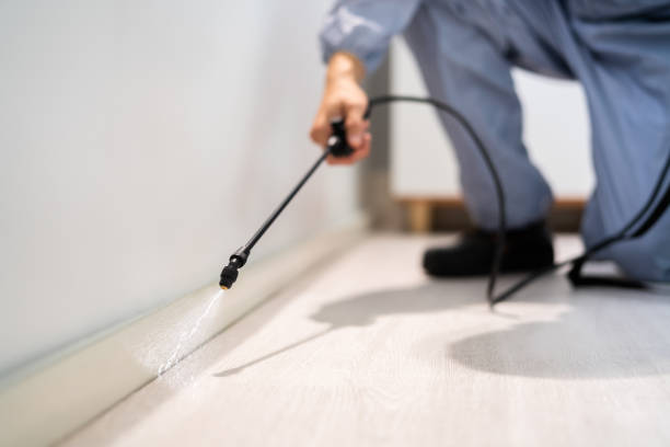 Licensed Pest Control service in Silver Lake, FL - Show Me Pest Control