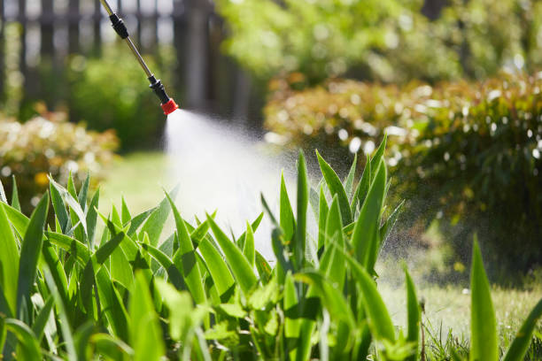 24/7 Emergency Mosquito Control experts in Silver Lake, FL