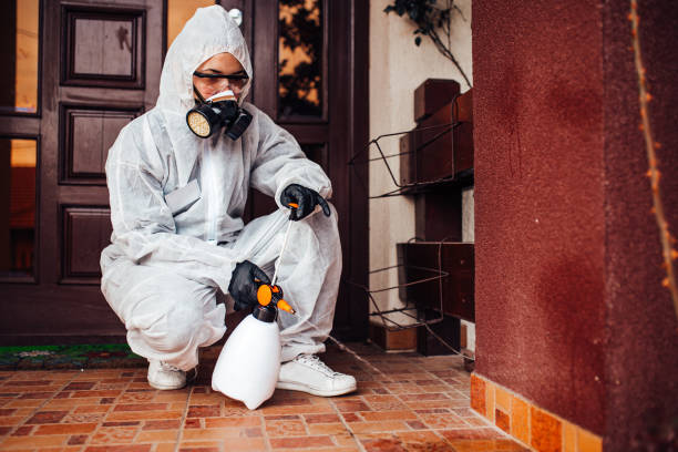 Reliable Mosquito Control contractor in Silver Lake, FL by Show Me Pest Control